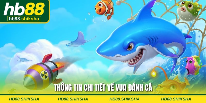 Thông tin chi tiết về Vua Đánh Cá